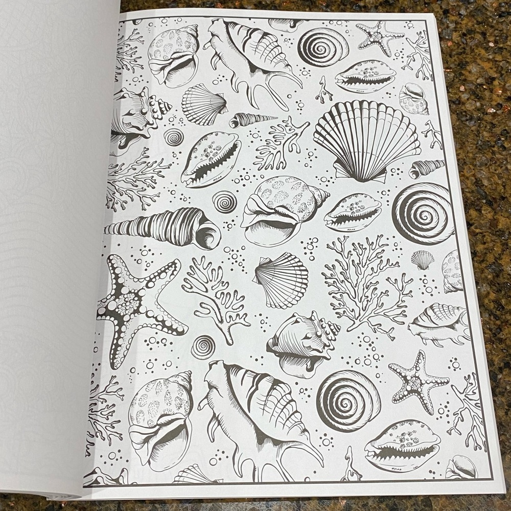 Splash Of Color Adult Coloring Book - Picture 8 of 11